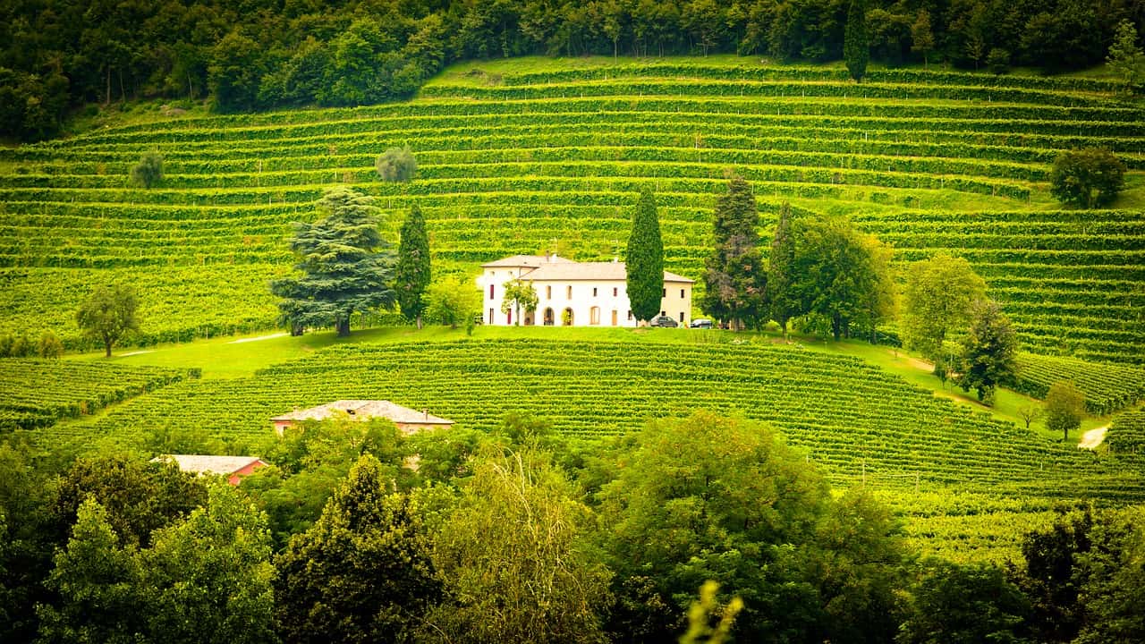 Weingut Couvreur-Prak